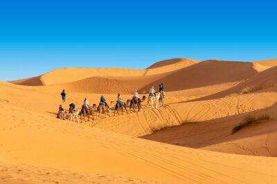 Overnight Camel trek in Merzouga dunes - Price and What You Get for $40.71