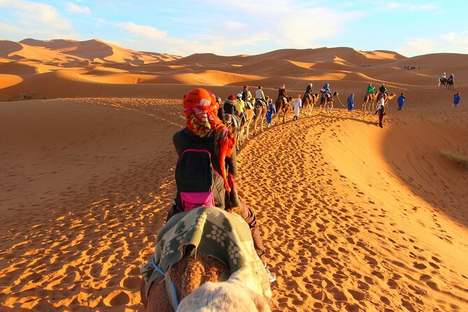 Overnight Camel trek in Merzouga dunes - Practical Tips to Make It Enjoyable (Not Just Memorable)