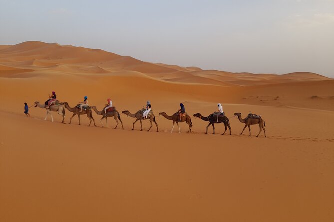 Overnight Camel trek in Merzouga dunes - Who Should Book This Overnight Merzouga Trek