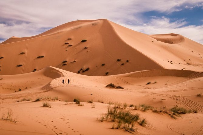 Overnight Camel trekking in Merzouga - Price and Value: Is $58.73 a Good Deal?