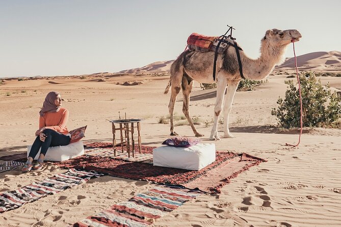 Overnight Camel trekking in Merzouga - Who This Tour Fits Best (and Who Might Want Options)
