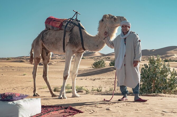 Overnight Camel trekking in Merzouga - Sandboarding in the Dunes: Fun Add-On (If You Want It)