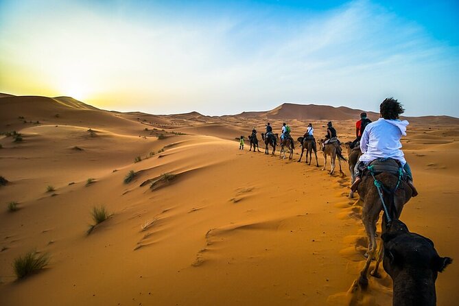 Overnight Camel Trekking Merzouga Desert - The Desert Schedule That Actually Works (4:30 pm to Next Morning)