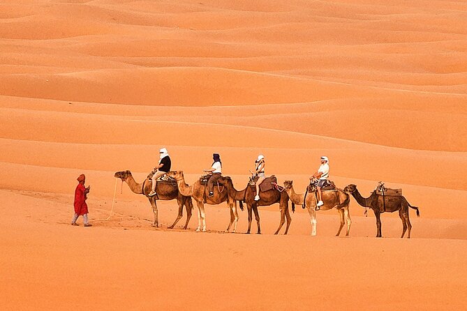 Overnight Camp Camel Trekking In Merzouga - Sandboarding and Small Extras That Boost the Value