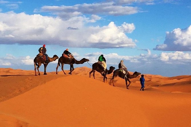 Overnight Camp Camel Trekking In Merzouga - Pickup, Privacy, and How the Group Setup Impacts Your Day