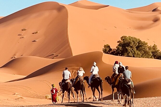 Overnight stay in desert camp & Camel trekking in the Sahara - Erg Chebbi Camel Trek: What Makes This 2-Day Desert Camp Work