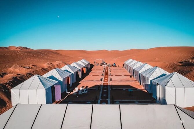 Overnight stay in desert camp & Camel trekking in the Sahara - Price and What You Actually Get for Around $69.79