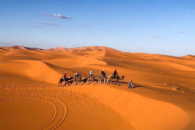 Overnight stay in desert camp & Camel trekking in the Sahara - Timing Reality Check: Arrival Window and When the Ride Starts