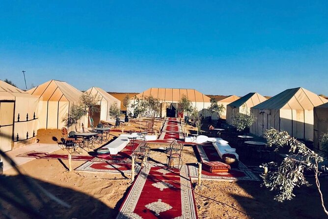 Overnight stay in desert camp & Camel trekking in the Sahara - Quick Booking Notes That Matter Once You’re There