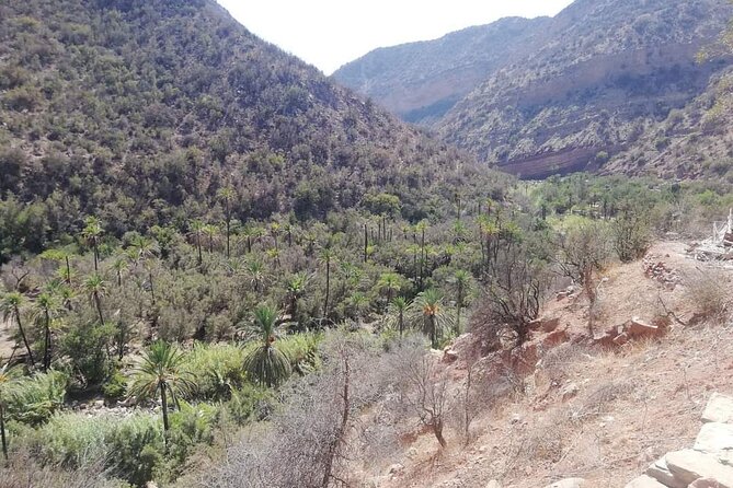Paradise Valley Trekking - Cafés and a herbary stop: small add-ons that can make the day