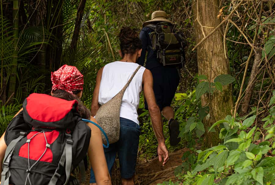Paraty: Pão de Açucar Peak Trekking and Hiking Tour - Praia do Cruzeiro After the Descent: Swim Time and Optional Lunch