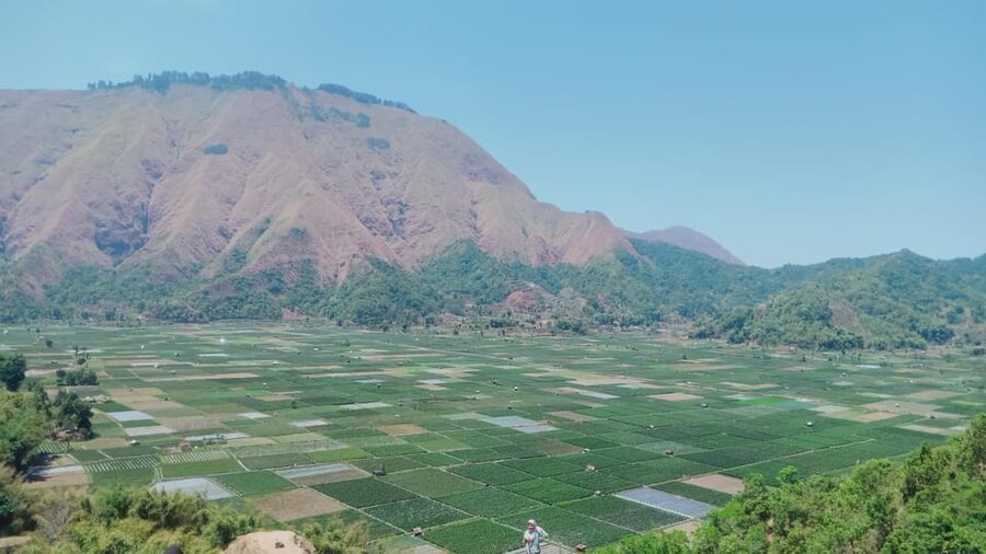Pergasingan Hill Trek: Unveiling the Beauty of Sembalun - Should You Book the Pergasingan Hill Trek?