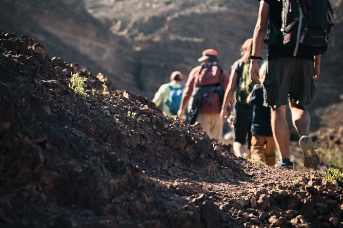 Petra to Wadi Rum Trek - 6 Days - Day 5: The Long Ascent Out of the Jordan Valley and Into Wadi Rum