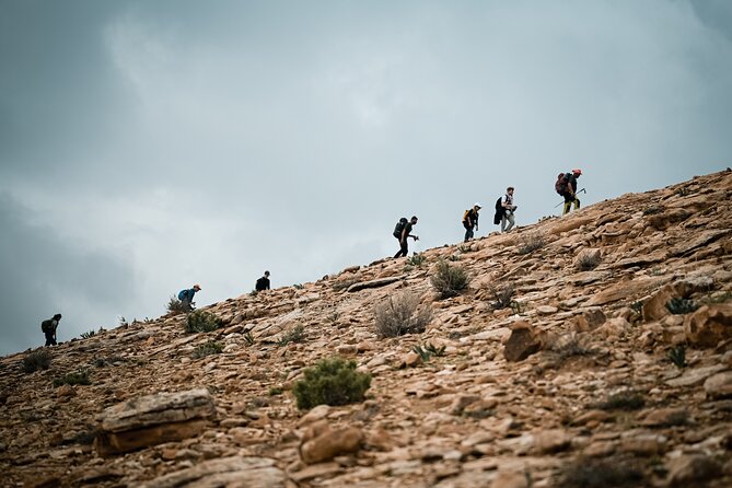 Petra to Wadi Rum Trek - 6 Days - Day 2: Rural Desert Valleys, Oleander, and a Moderate Trail