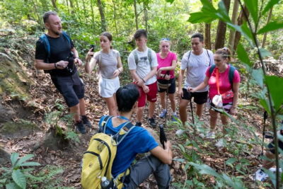 Phu Quoc: Tien Son Dinh 6-Hour Jungle Trekking Adventure - The Climb Setup: 6+ Kilometer Trek to 280 Meters