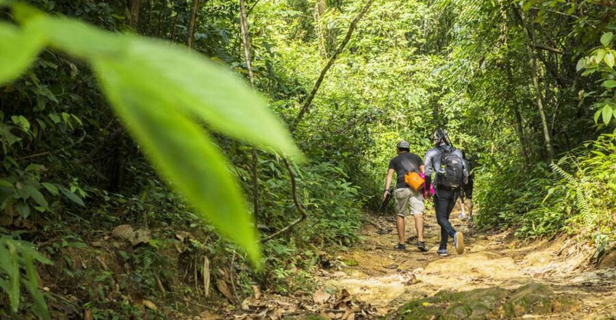 Phuket: Jungle Trekking Experience at Khao Phra Taew - Key takeaways before you go