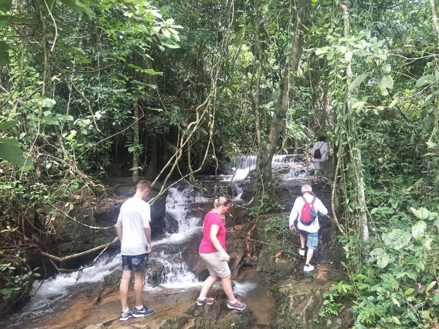 Phuket: Jungle Trekking Experience at Khao Phra Taew - Should You Book the Phuket Khao Phra Taew Jungle Trek?