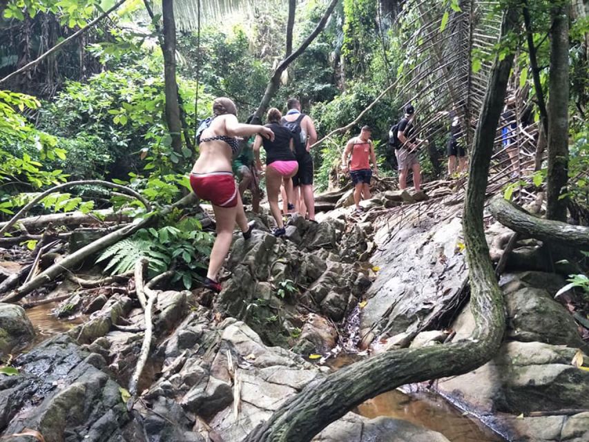 Phuket: Jungle Trekking Experience at Khao Phra Taew - Waterfalls, Jungle Showers, and How to Cool Off