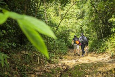 Phuket: Jungle Trekking Experience at Khao Phra Taew - The 8 km Trek: Ton Sai to Bang Pae Waterfalls
