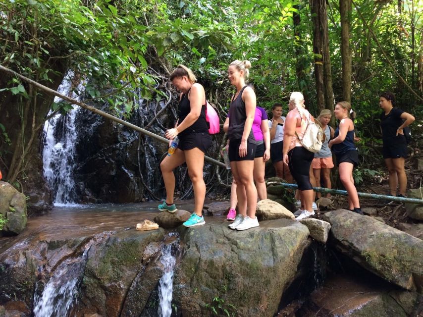 Phuket: Jungle Trekking Experience at Khao Phra Taew - Your Guide and the Wildlife Reality Check
