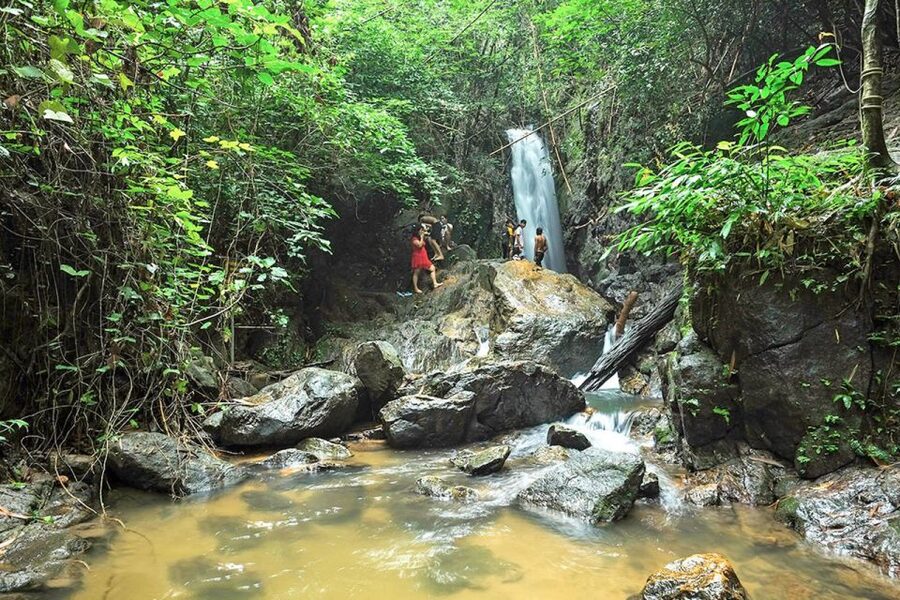 Phuket: Jungle Trekking Experience at Khao Phra Taew - Included Food and the Lunch Stop After the Trail