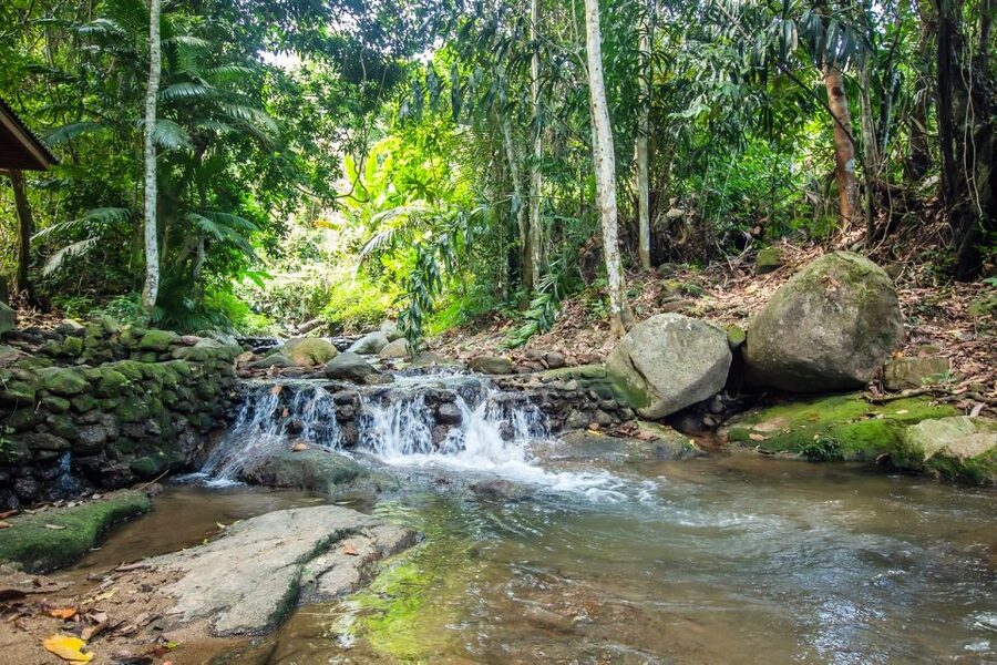 Phuket: Jungle Trekking Experience at Khao Phra Taew - What to Pack for Wet Rocks and Hot Trail Air