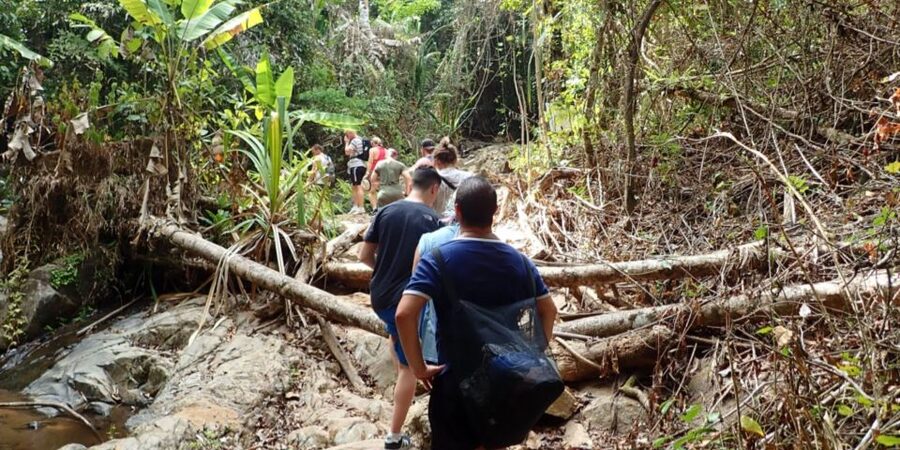 Phuket: Jungle Trekking Experience at Khao Phra Taew - Who This Trek Suits Best in Phuket (and Who Might Feel Meh)