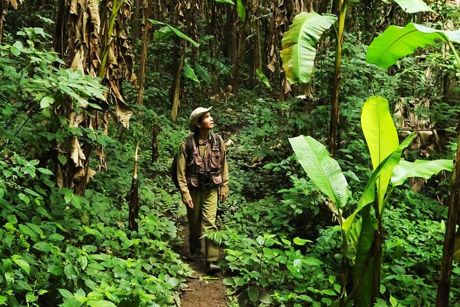 Phuket Jungle Trekking Experience at Khao Phra Taew National Park - Key Points to Know Before You Go