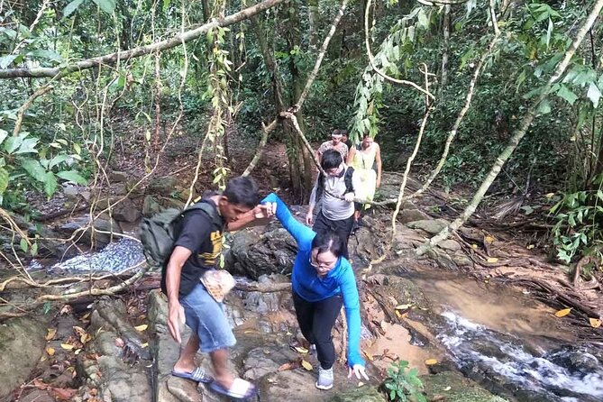 Phuket Jungle Trekking Experience at Khao Phra Taew National Park - The Walk Itself: Winding Trails, Sweat, and Real Jungle Texture