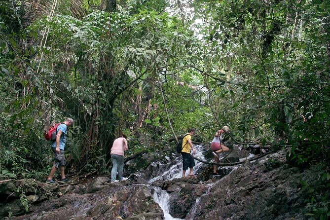 Phuket Jungle Trekking Experience at Khao Phra Taew National Park - Wildlife Scanning: What Your Guide Wants You to Notice