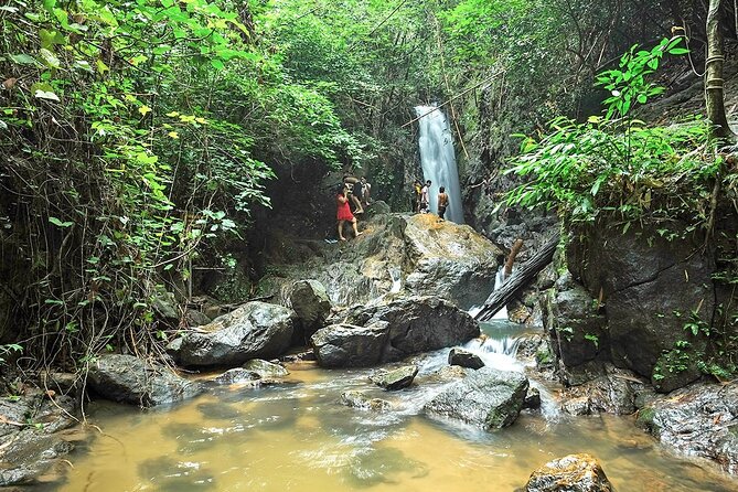 Phuket Jungle Trekking Experience at Khao Phra Taew National Park - Price and Value: What $82.29 Really Buys You
