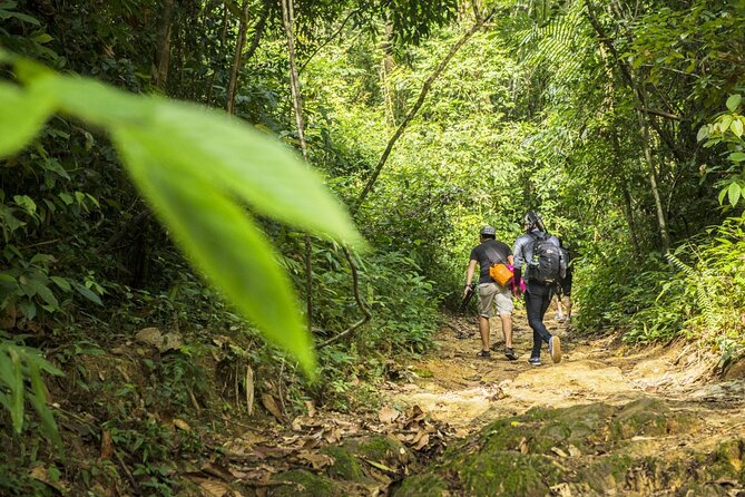 Phuket Jungle Trekking Experience at Khao Phra Taew National Park - Your Guide Makes the Trails Make Sense