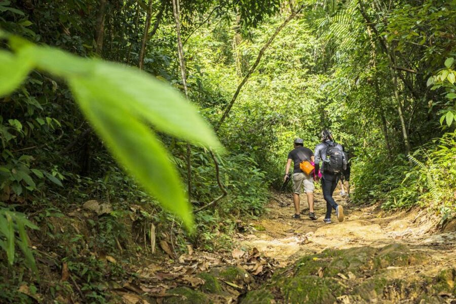 Phuket: Jungle Trekking Experience at Khao Phra Taew - The 8 km Trek: Ton Sai to Bang Pae Waterfalls