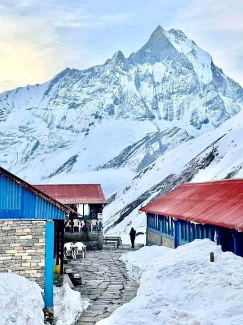 Pkr/Kathmandu: 5-Day Annapurna Base Camp & Hot spring Trek - Day 2 to Deurali: forests, waterfalls, and tea-house stops that break the climb