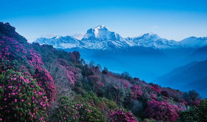 Pokhara: 2 & 3 Days Ghorepani Poon Hill Private Guided Trek - How hard is it really? Steps, stairs, and altitude math