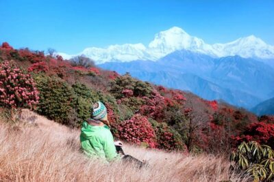 Pokhara: 2 Day Ghorepani & Poon Hill Private Trekking - Day 1: Tikhedhunga/Ulleri to Ghorepani (2,850 m) through villages and rhododendron paths