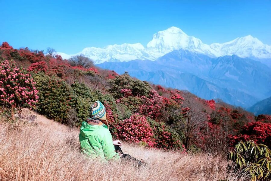 Pokhara: 2 Day Ghorepani & Poon Hill Private Trekking - Day 1: Tikhedhunga/Ulleri to Ghorepani (2,850 m) through villages and rhododendron paths