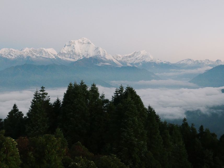 Pokhara: 3-Day Ghorepani and Poon Hill Trek - Guides on this trek make or break your pace