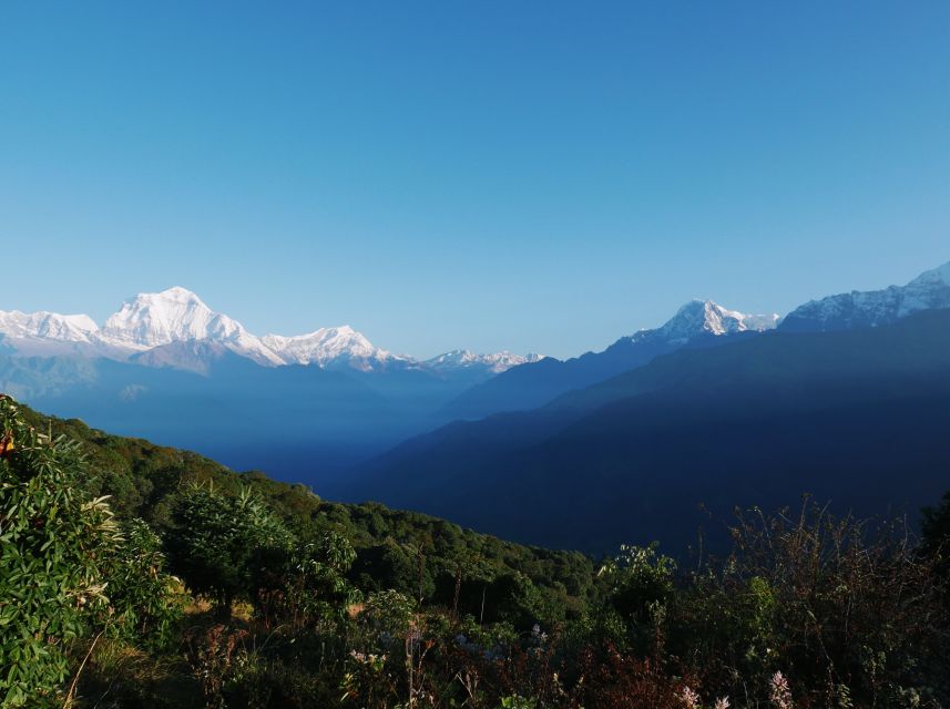 Pokhara: 3-Day Ghorepani and Poon Hill Trek - Tea houses, meals, and Wi-Fi: what comfort looks like