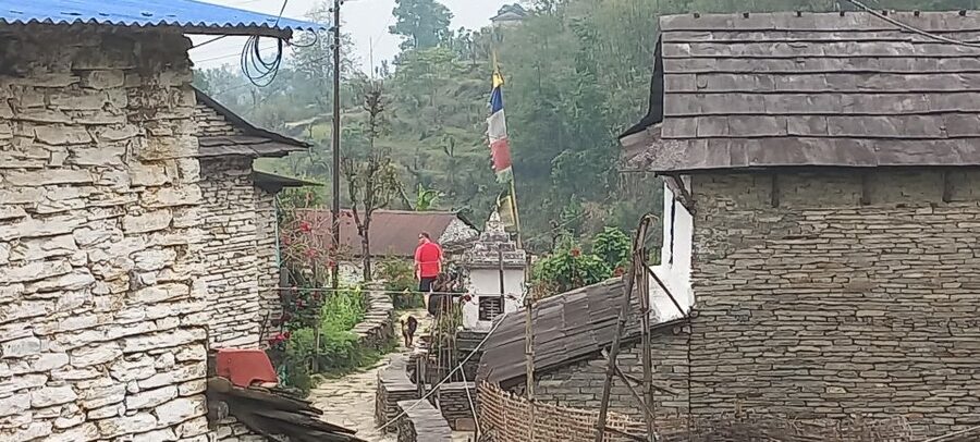 Pokhara: 3-Day Trek - Price and Value: Is $250 Per Person a Good Deal?