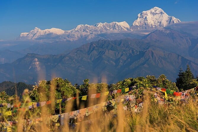 Pokhara 3 Days Ghorepani and Poon Hill Private Trek via Ghandruk - Day 1: Jeep to Nayapul, then Tikhedhunga and the Ulleri steps to Ghorepani