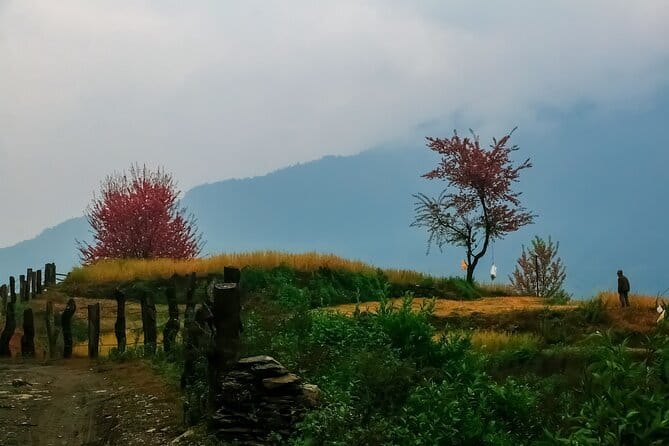 Pokhara 3 Days Ghorepani and Poon Hill Private Trek via Ghandruk - Price and value: what you get for about $218