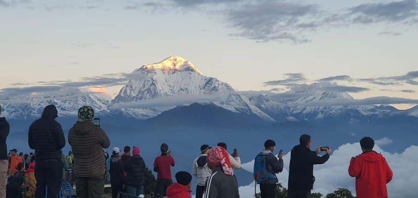 Pokhara: 4-Day Beautiful Ghorepani Poon Hill & Ghandruk Trek - Day 3: Poon Hill sunrise, rhododendron trails, and Tadapani overnight