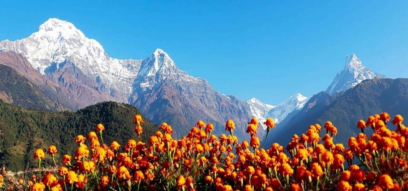 Pokhara: 4-Day Ghorepani, Poonhill & Ghandruk Mountain Trek - Key takeaways before you go