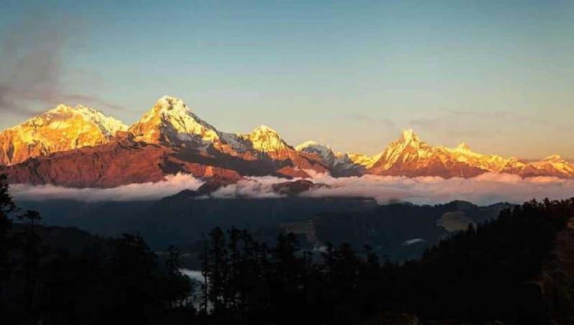 Pokhara: 4-Day Ghorepani, Poonhill & Ghandruk Mountain Trek - Day 2: Ghorepani and the rhododendron forest rhythm
