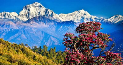 Pokhara: 4-Day Ghorepani, Poonhill & Ghandruk Mountain Trek - Day 1: Pokhara to Ulleri via Naya Pul (easy-start Nepal walking)