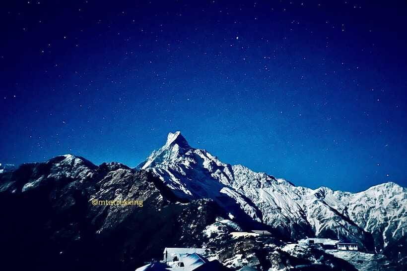 Pokhara: 4-Day Mardi Himal Trek - Day 2: Forest Camp to High Camp (~3,550m) through jungle and wildlife