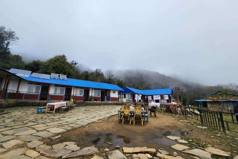 Pokhara: 4-Day Mardi Himal Trek - Day 4: Forest Camp down through Low Camp to Kalimati, then jeep back to Pokhara