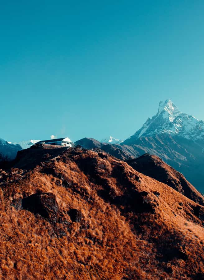 Pokhara: 4-Day Mesmerizing Mardi Himal Guided Trek - Should you book the Pokhara 4-Day Mardi Himal guided trek?