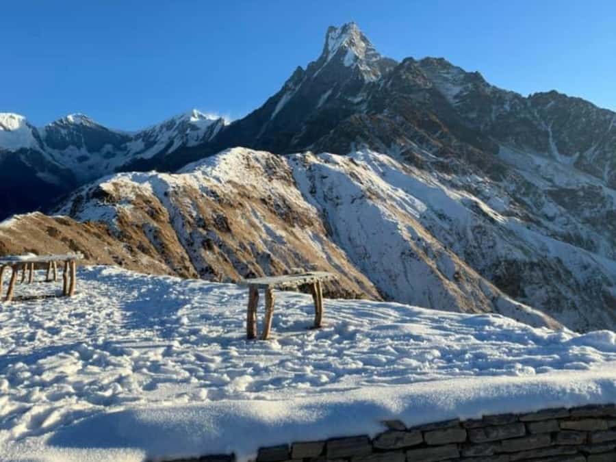 Pokhara: 4-Day Mesmerizing Mardi Himal Guided Trek - Guide team energy: what the best experiences have in common